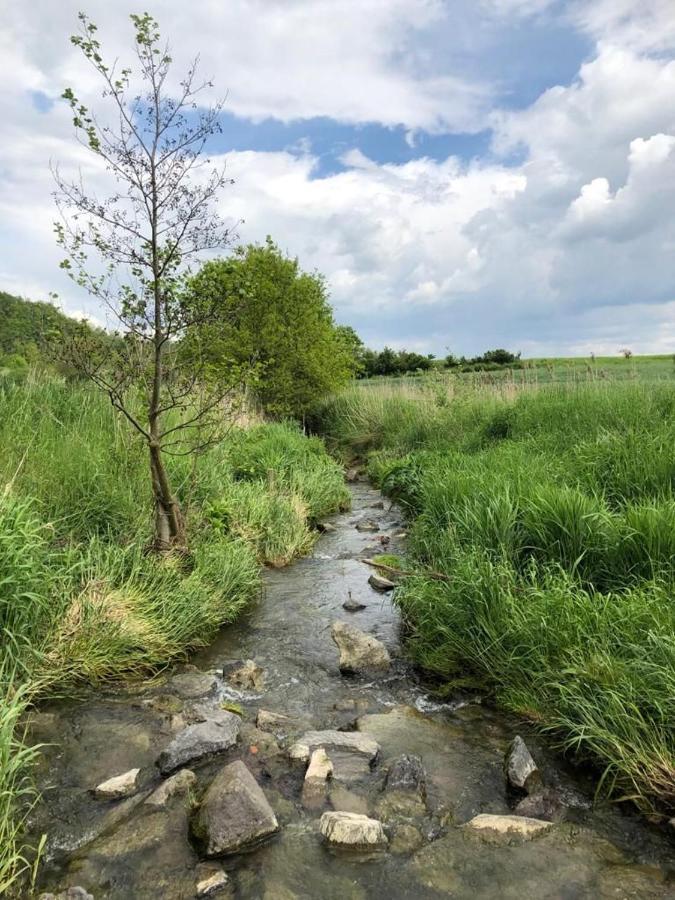 Ferienwohnung Auf Dem Maifeld Gappenach Exteriör bild
